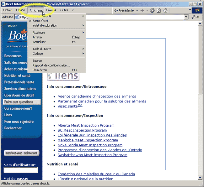 Instruction pour utiliser Internet Explorer