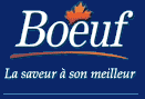 BIC Logo
