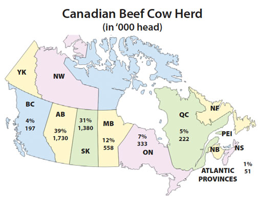 Canadian Beef Heard Distribution