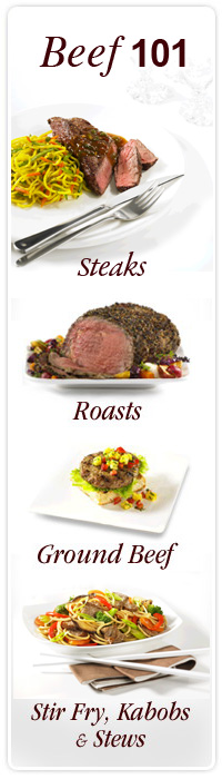 Beef 101