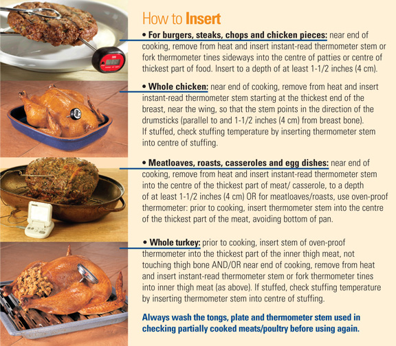 How to Insert a Thermometer