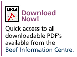 download PDFs