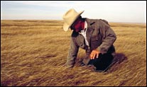 Picture of a man with a cowboy had in a field