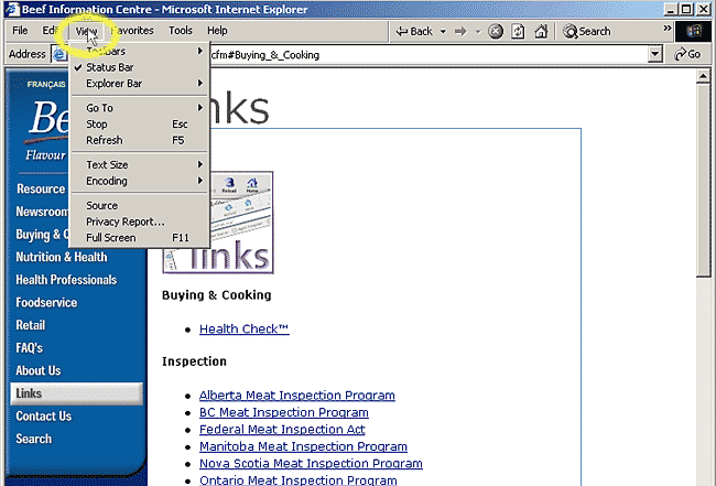 Instruction for using Internet Explorer