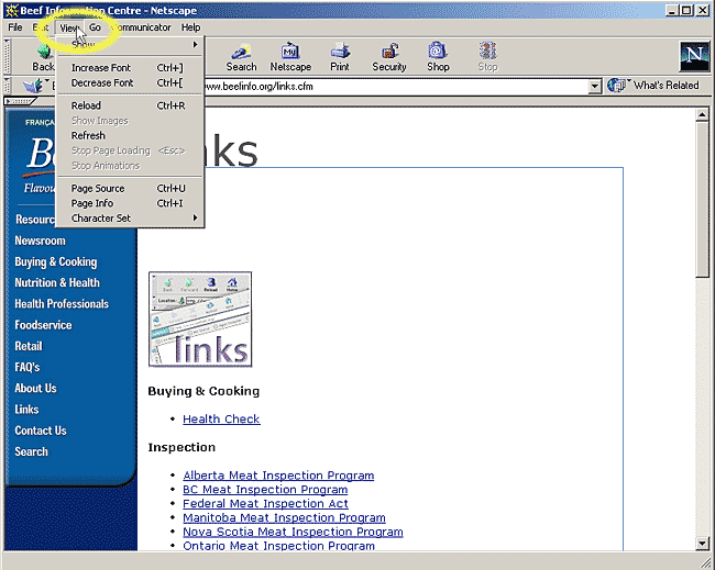 Instruction for using Netscape