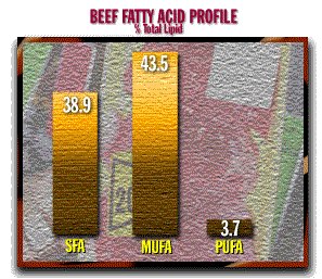 [Beef
Fatty Acid Profile]